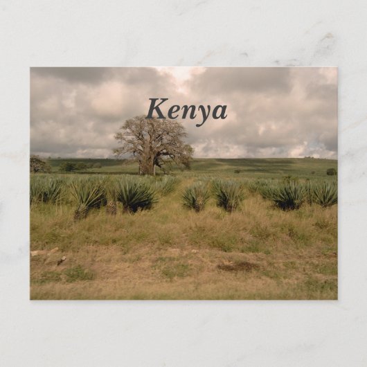 Kenia Postkarte (Vorderseite)