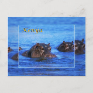 Kenia Postkarte