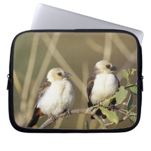 Kenia, Samburu-Nationalreservat Laptopschutzhülle