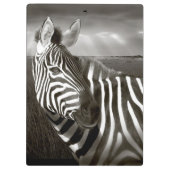 Kenia. Schwarz u. Weiß von Zebra und von Ebene Klemmbrett (Rückseite)