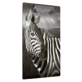Kenia. Schwarz u. Weiß von Zebra und von Ebene Klemmbrett (Rechts)