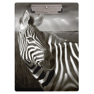 Kenia. Schwarz u. Weiß von Zebra und von Ebene Klemmbrett