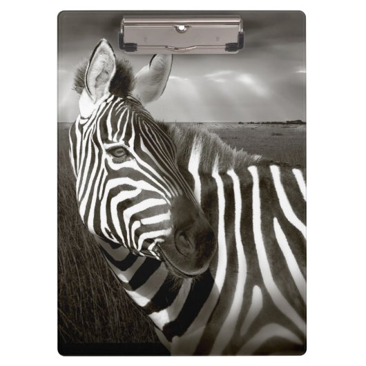 Kenia. Schwarz u. Weiß von Zebra und von Ebene Klemmbrett (Vorderseite)