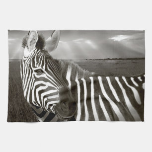 Kenia. Schwarz-Weiß von Zebra und Ebene. Küchentuch