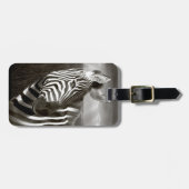 Kenia. Schwarz & Weiß von Zebra und schlicht. Gepäckanhänger (Vorderseite horizontal)