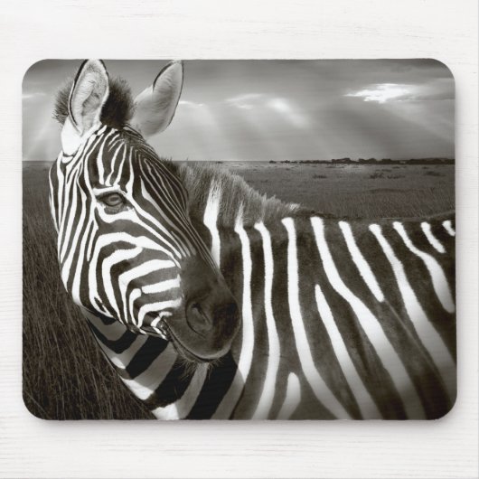 Kenia. Schwarz & Weiß von Zebra und schlicht. Mousepad (Vorne)