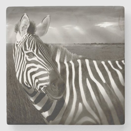 Kenia. Schwarz & Weiß von Zebra und schlicht. Steinuntersetzer (Vorderseite)