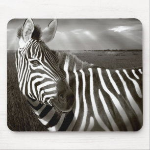 Kenia. Schwarzweiß von Zebra und Ebene. Mousepad