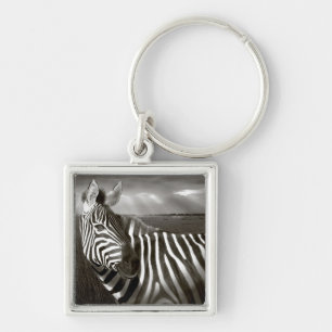 Kenia. Schwarzweiß von Zebra und Ebene. Schlüsselanhänger