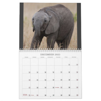 Kenias großer 5 Kalender