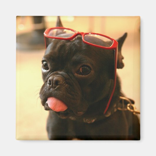 Kenken Magnets A Magnet (Vorne)