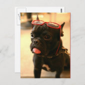 Kenken Postkarten A (Vorne/Hinten)