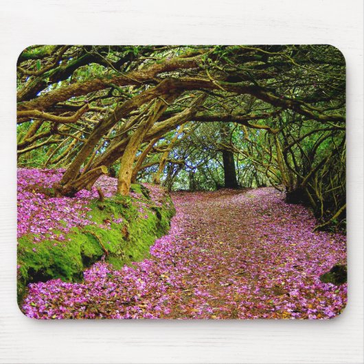Kenmare Co. Kerry Irland Mousepad (Vorne)