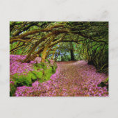 Kenmare Fairy Road Postkarte (Vorderseite)