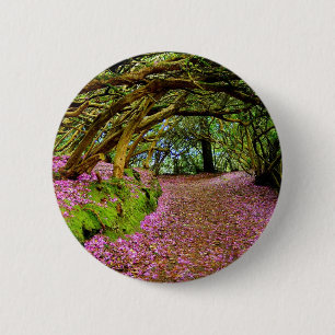 Kenmare Irland Button