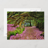 Kenmare Postkarte (Vorne/Hinten)