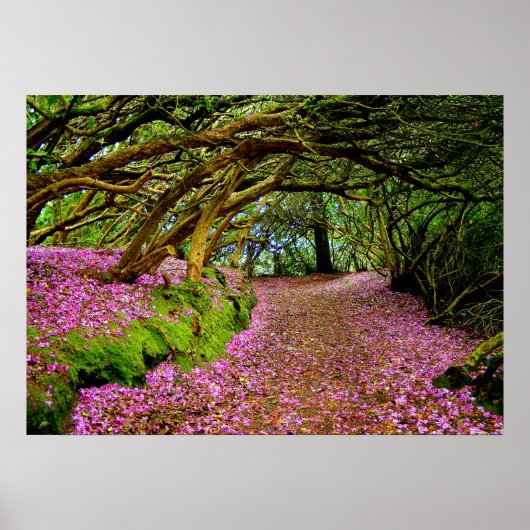 Kenmare Rhododendron Tunnel - Die.. - Individuell Poster (Vorne)