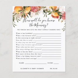 Kenne die Mami | Baby Showspiel