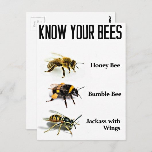 Kennen Sie Ihre Bienen Postkarte (Vorne/Hinten)