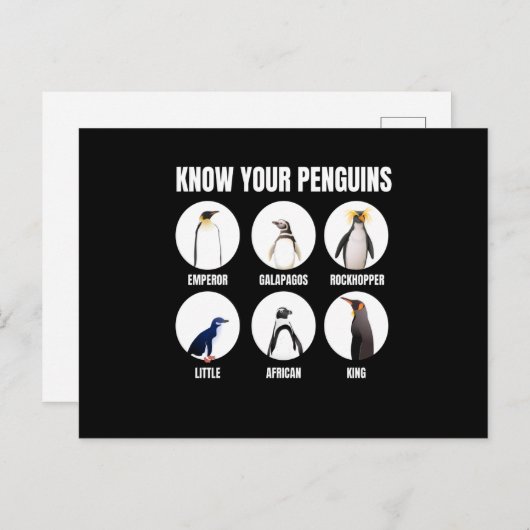 Kennen Sie Ihre Pinguine Pinguin Snow Bird Postkarte (Vorne/Hinten)