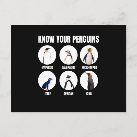 Kennen Sie Ihre Pinguine Pinguin Snow Bird Postkarte (Vorderseite)