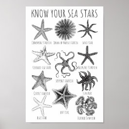 Kennen Sie Ihre Seesterne - Starfish Groups Poster
