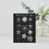 Kennen Sie Ihre Seesterne - Starfish Groups Postkarte (Stehend Vorderseite)