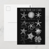 Kennen Sie Ihre Seesterne - Starfish Groups Postkarte (Vorne/Hinten)