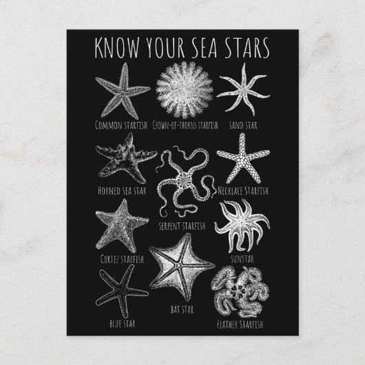 Kennen Sie Ihre Seesterne - Starfish Groups Postkarte (Vorderseite)