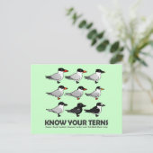 Kennen Sie Ihre Terns Postkarte (Stehend Vorderseite)