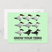 Kennen Sie Ihre Terns Postkarte (Vorne/Hinten)