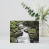 Kenny Creek Falls Postkarte (Stehend Vorderseite)