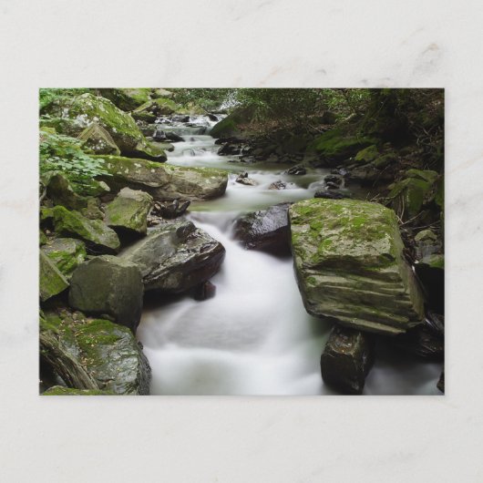 Kenny Creek Falls Postkarte (Vorderseite)