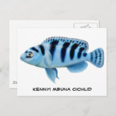 Kennyi African Cichlid Postcard Postkarte (Vorne/Hinten)