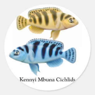 Kennyi afrikanischer Rift Seecichlids-Aufkleber Runder Aufkleber