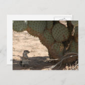 Kennys Critter Postkarte (Vorne/Hinten)