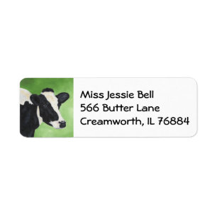 Kennzeichen der Holstein-Kuh