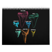 Kennzeichen für die Jagd auf Haifischflossen Kalender (Titelbild)