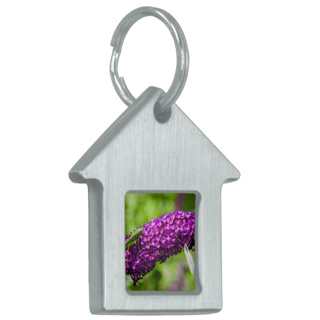 Kennzeichen für katydid energy pet tiermarke (Vorderseite links)