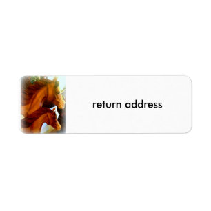 Kennzeichen für mare und pony-return-Adresse