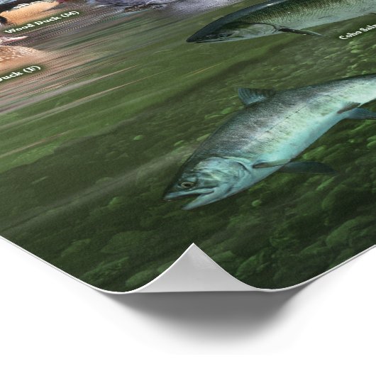 Kennzeichen für Regenwald an der Küste Poster (Ecke)