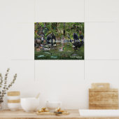 Kennzeichen für Regenwald an der Küste Poster (Küche)