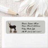 KENNZEICHNUNG DER BUCK-RÜCKKEHR (Insitu)