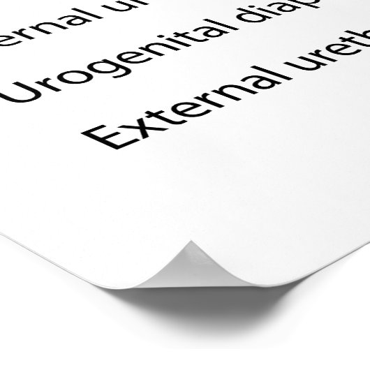 Kennzeichnung des weiblichen Harnsystems Poster (Ecke)