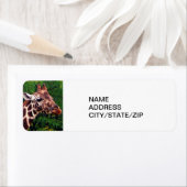 KENNZEICHNUNG FÜR DIE GIRAFFE-ADRESSE (Insitu)