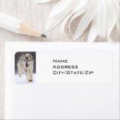 KENNZEICHNUNG FÜR DIE SCHNEEBOUND-GRAUWOLF-RÜCKKEH (Insitu)