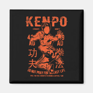 Kenpo Karate Martial Arts Vintage Retro Stil Distr Magnet