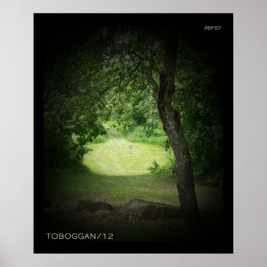 Kensington Roboggan #12 Poster (Vorne)