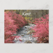 Kent, Connecticut Postkarte (Vorderseite)
