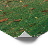 Kent Falls und Covered Bridge Poster (Ecke)
